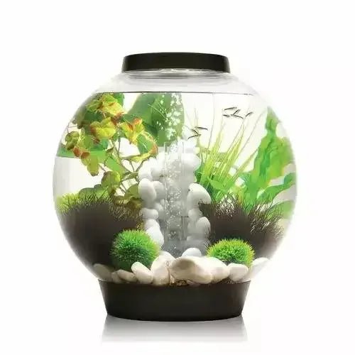 biOrb CLASSIC 30 Aquarium with Standard Light 8 gallon - Talis Us