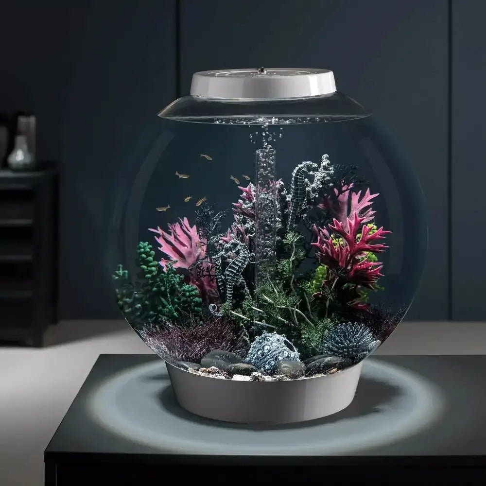biOrb CLASSIC 60 Aquarium with MCR Light 16 gallon - Talis Us