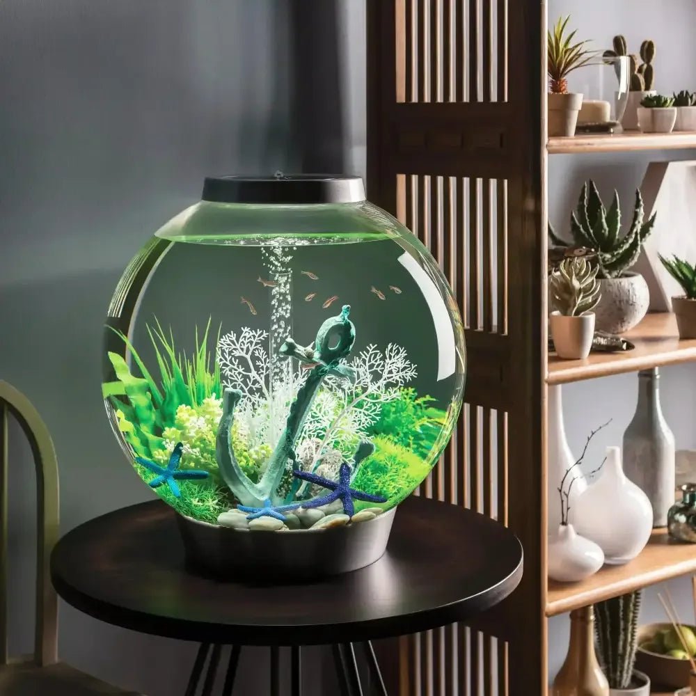 biOrb CLASSIC 60 Aquarium with MCR Light 16 gallon - Talis Us