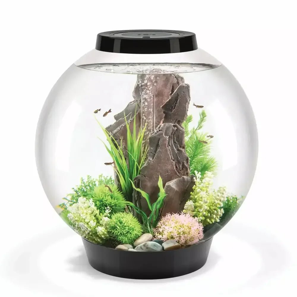 biOrb CLASSIC 60 Aquarium with Standard Light 16 gallon - Talis Us