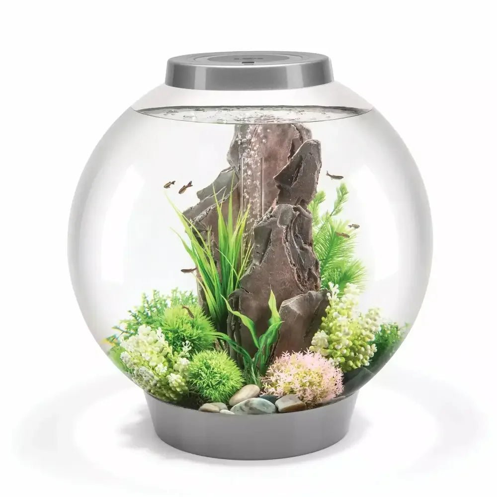 biOrb CLASSIC 60 Aquarium with Standard Light 16 gallon - Talis Us