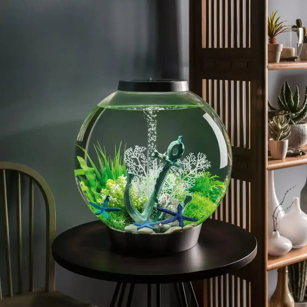 biOrb CLASSIC 60 Aquarium with Standard Light 16 gallon - Talis Us