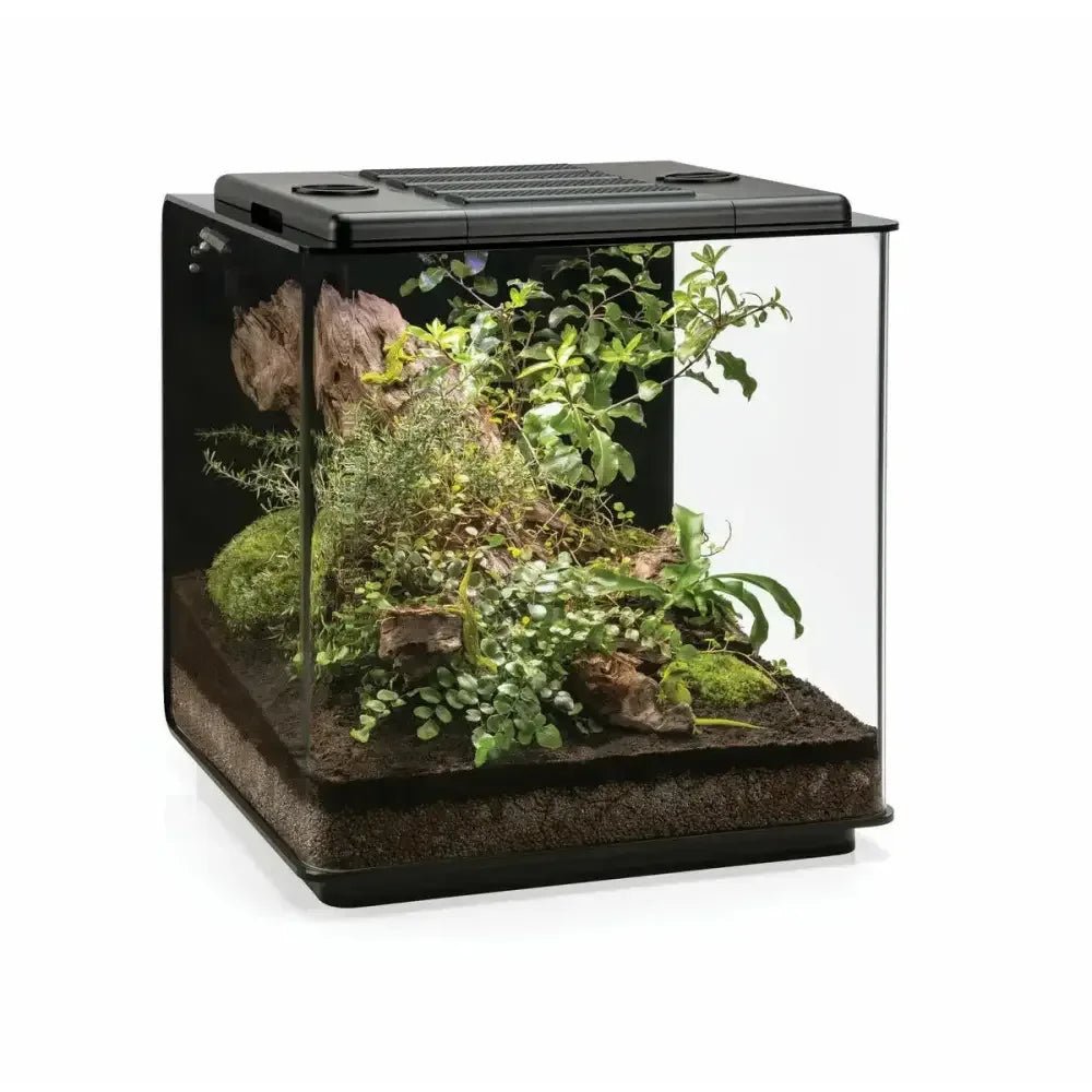 BiOrb Earth 125 Smart Terrarium for Dart Frogs Reptile Terrariums - Talis Us
