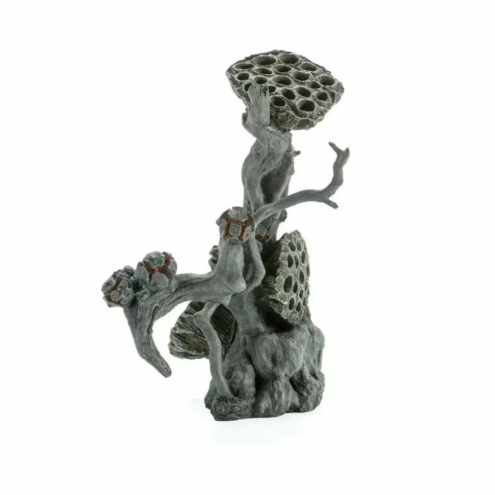 Biorb Earth Lotus Seedpod on Root Large Reptile Terrarium Ornament - Talis Us
