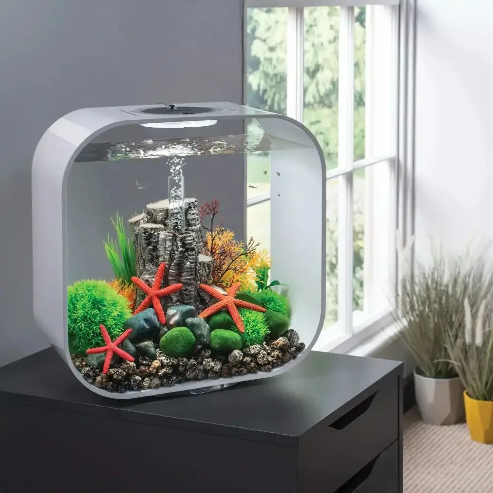 BiOrb Easy Plant Set Green Aquarium Decor - Talis Us
