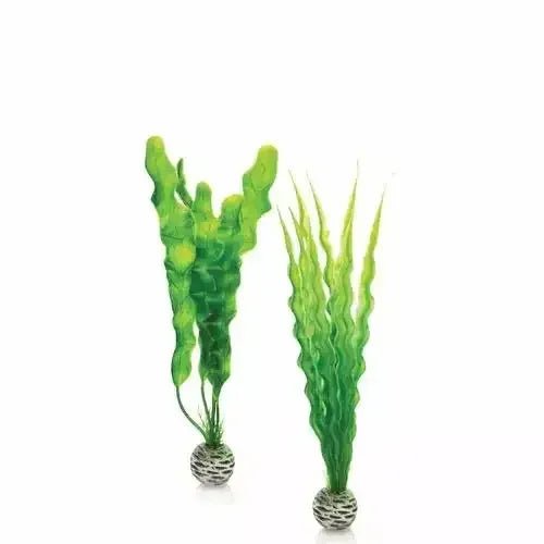 BiOrb Easy Plant Set Green Aquarium Decor - Talis Us