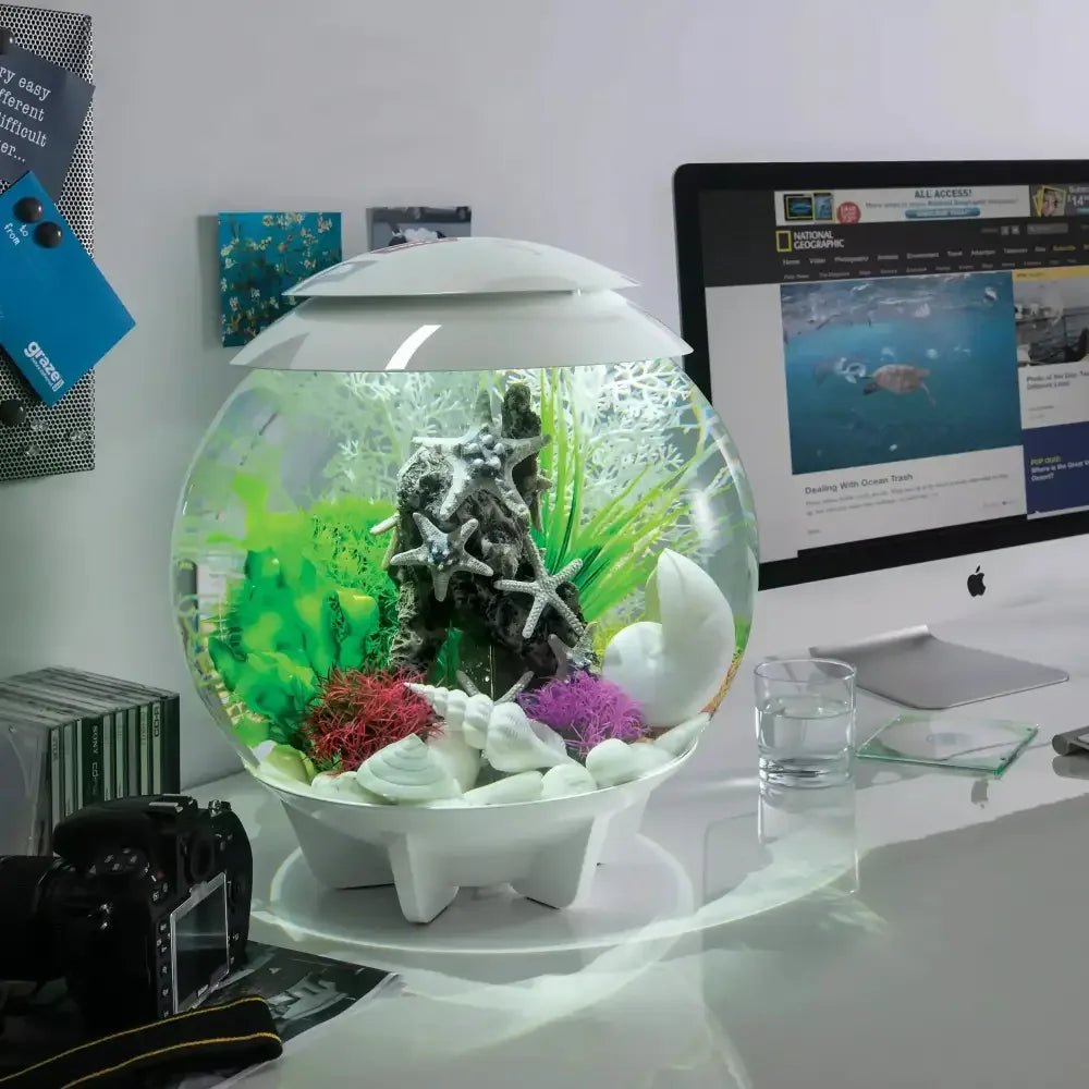BiOrb Easy Plant Set Green Aquarium Decor - Talis Us