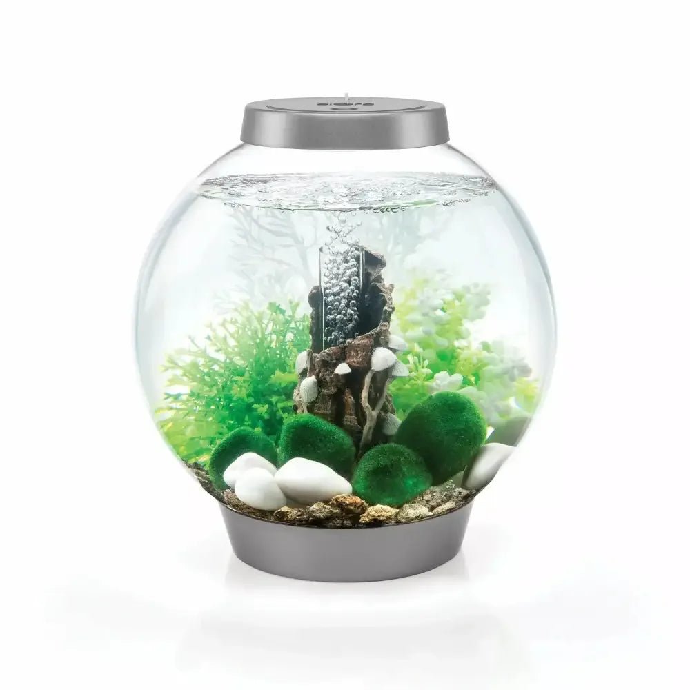 biOrb Fairy Tale Aquarium Decor Set - Talis Us