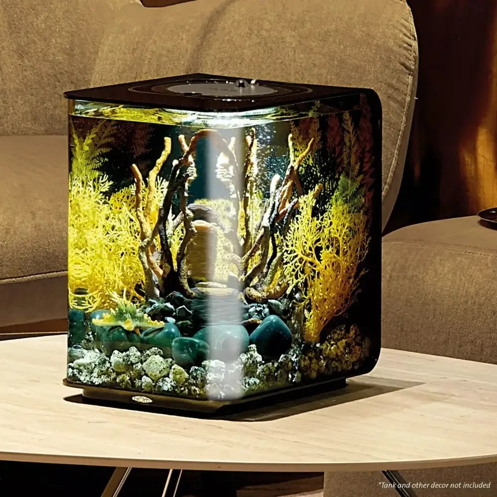 biOrb Fish Tank Decor - Talis Us