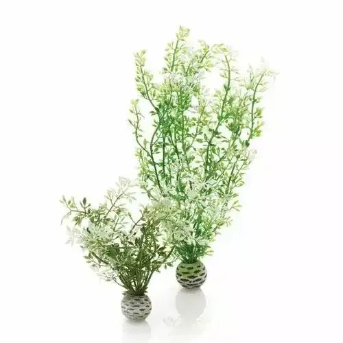 biOrb Fish Tank Decor - Talis Us