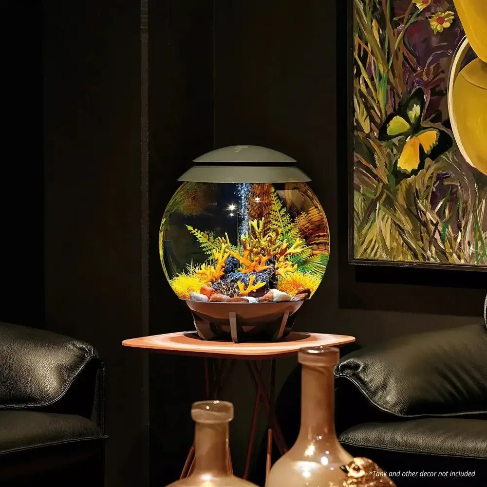 biOrb Fish Tank Decor - Talis Us