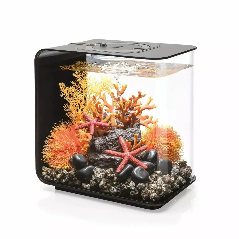 biOrb FLOW 15 Aquarium with MCR Light 4 gallon - Talis Us