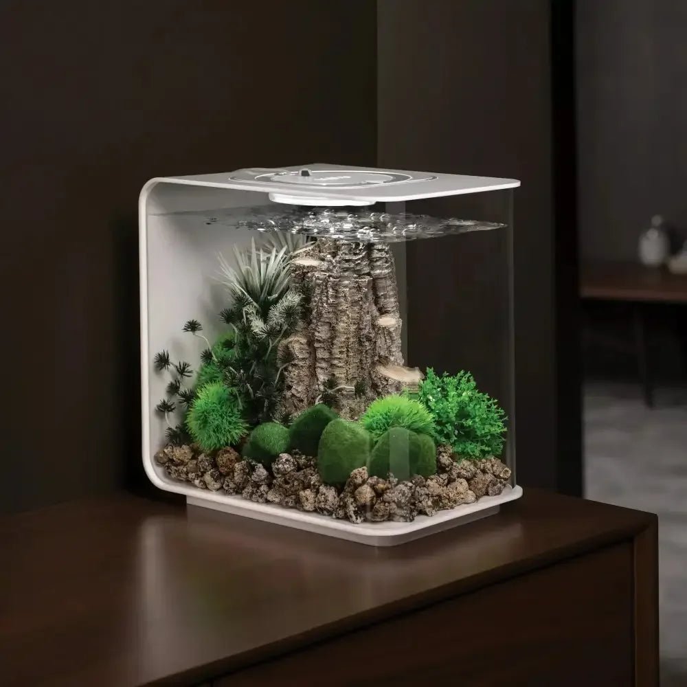 biOrb FLOW 15 Aquarium with MCR Light 4 gallon - Talis Us