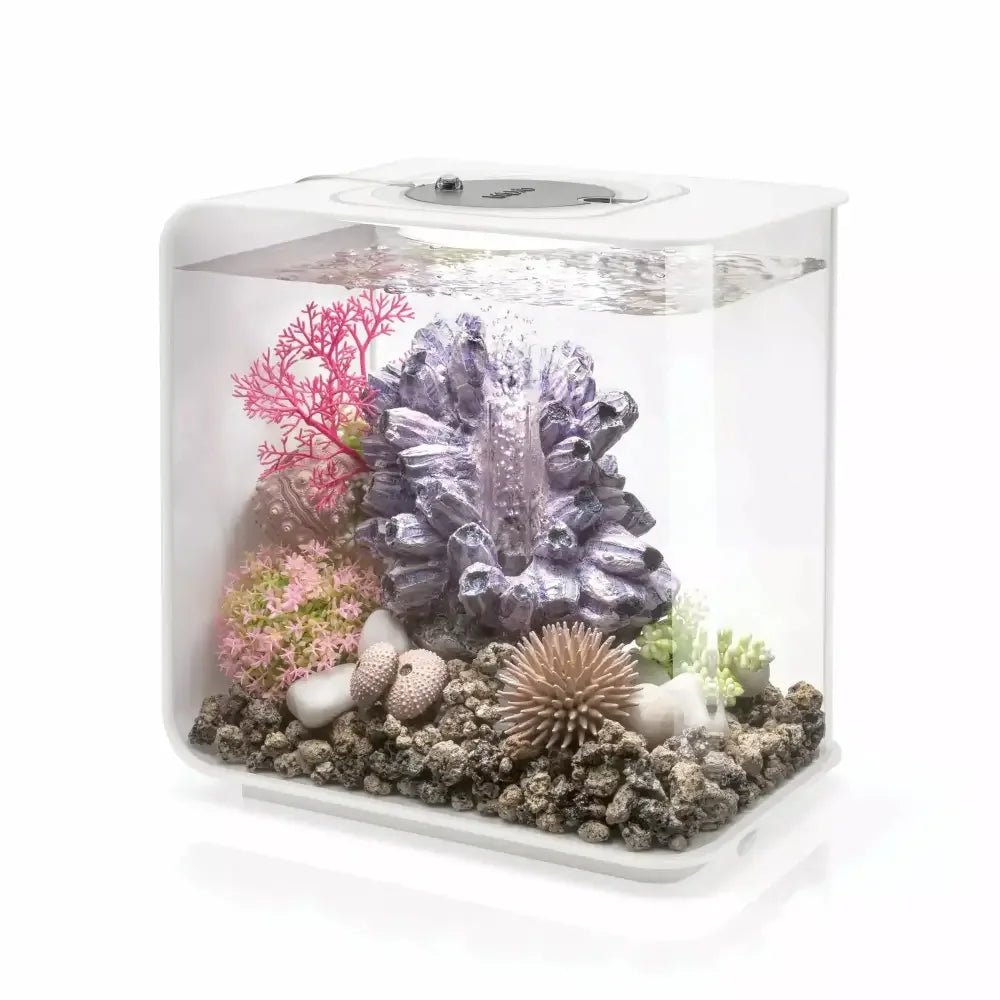 biOrb FLOW 15 Aquarium with MCR Light 4 gallon - Talis Us