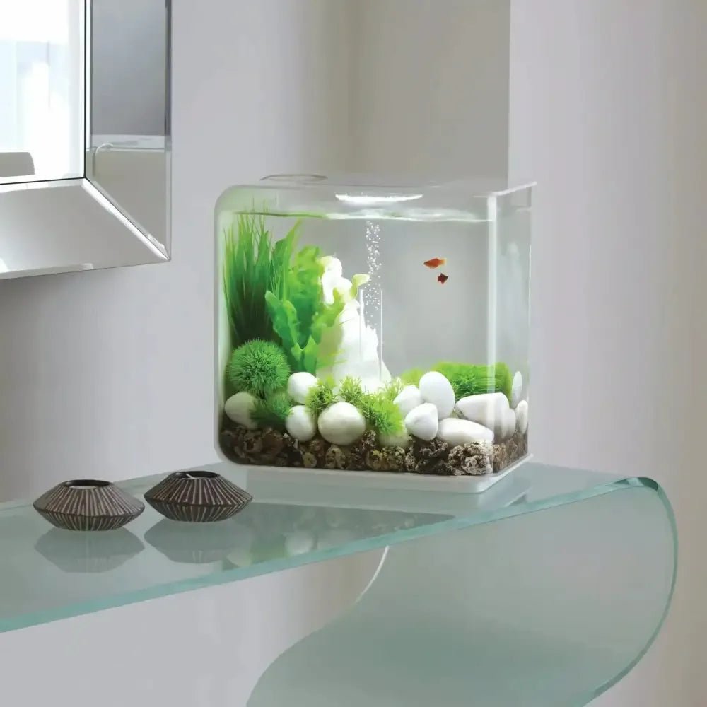 biOrb FLOW 15 Aquarium with Standard Light 4 gallon - Talis Us