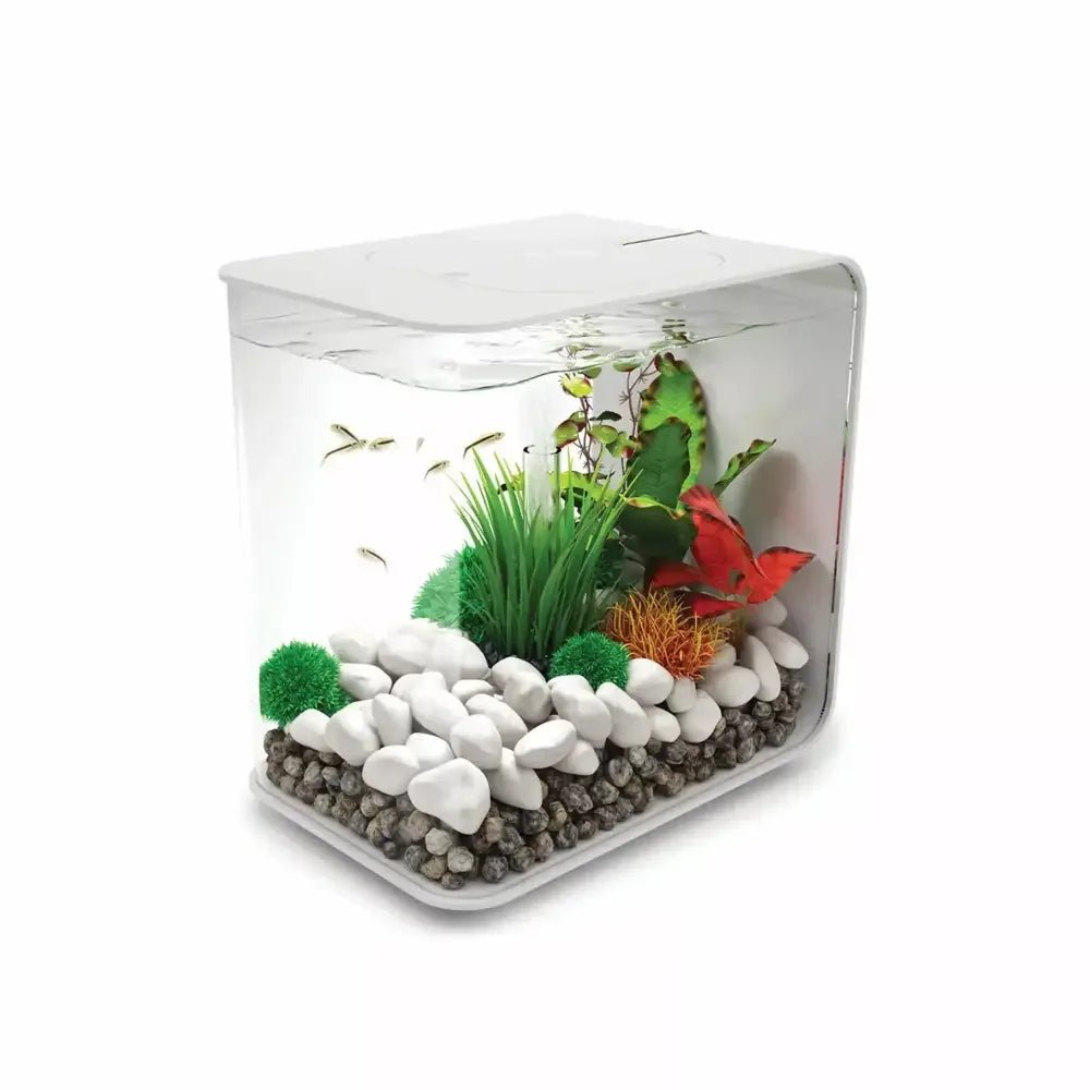 biOrb FLOW 15 Aquarium with Standard Light 4 gallon - Talis Us