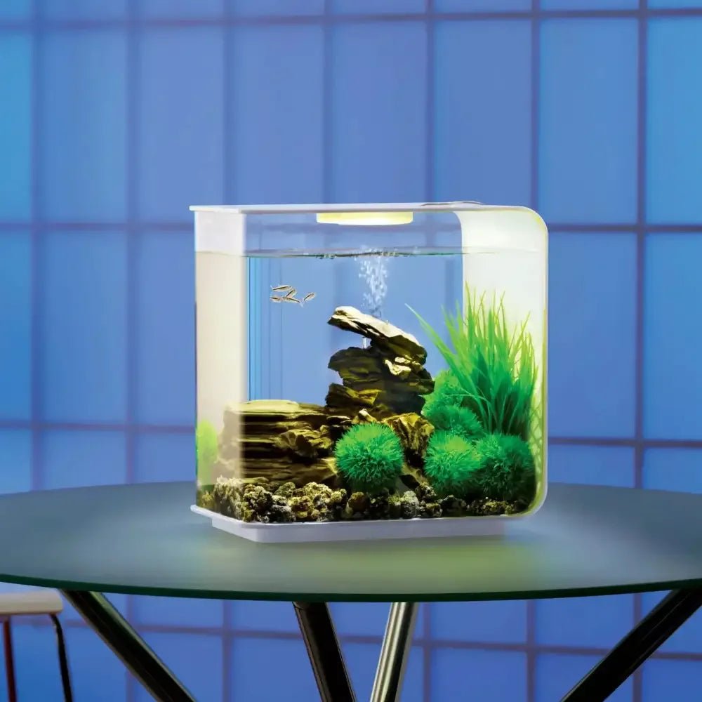 biOrb FLOW 15 Aquarium with Standard Light 4 gallon - Talis Us