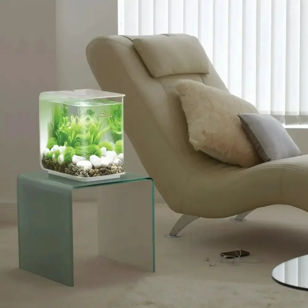 biOrb FLOW 15 Aquarium with Standard Light 4 gallon - Talis Us