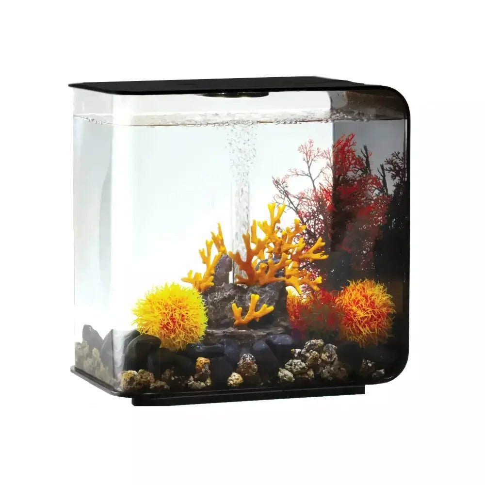 biOrb FLOW 30 Aquarium with Standard Light 8 gallon - Talis Us