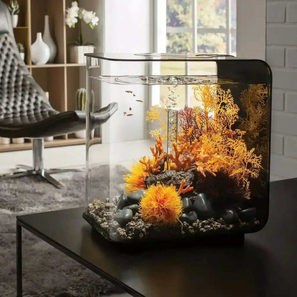 biOrb FLOW 30 Aquarium with Standard Light 8 gallon - Talis Us