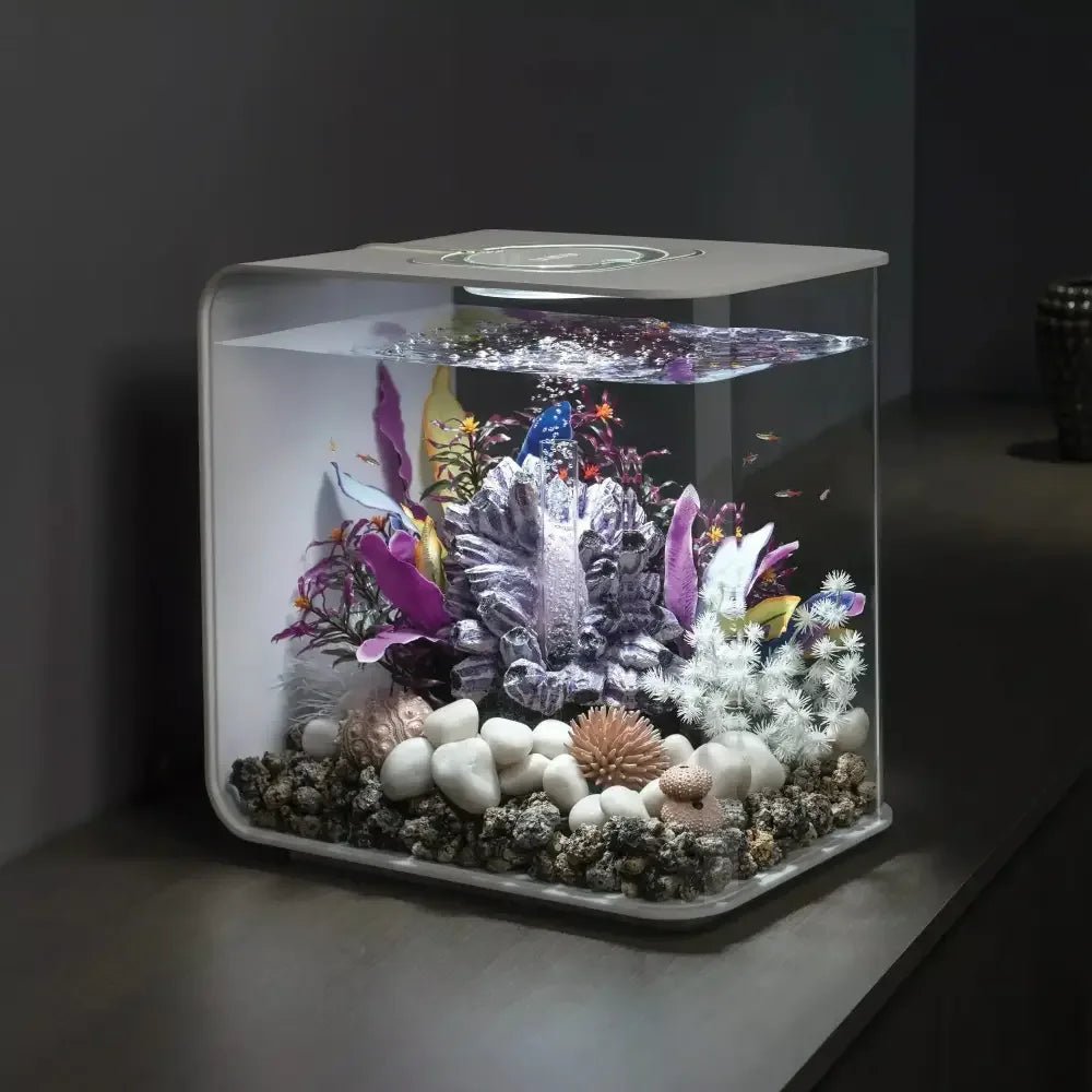 biOrb FLOW 30 Aquarium with Standard Light 8 gallon - Talis Us