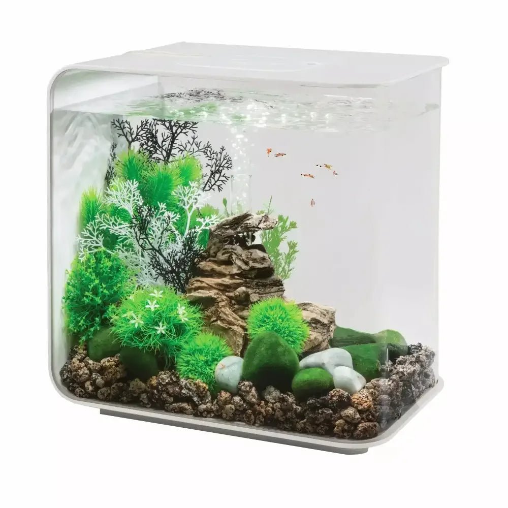 biOrb FLOW 30 Aquarium with Standard Light 8 gallon - Talis Us