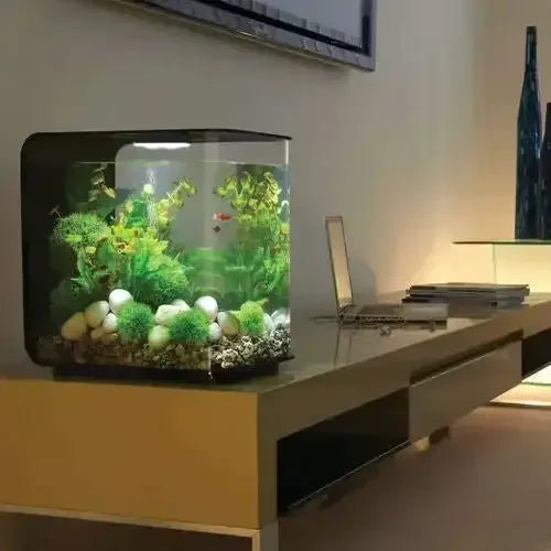 biOrb FLOW 30 Aquarium with Standard Light 8 gallon - Talis Us