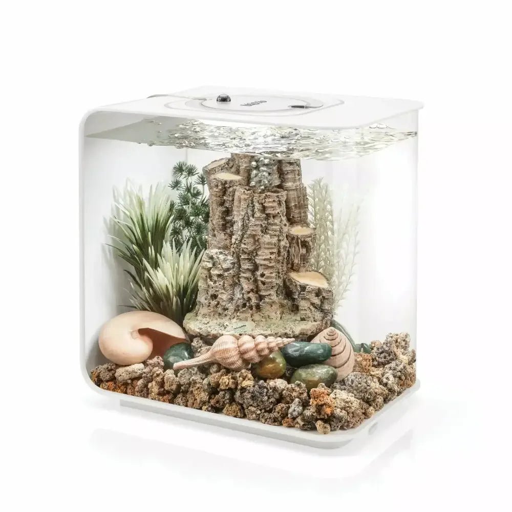 biOrb Forest Rhythm Aquarium Decor Set - Talis Us
