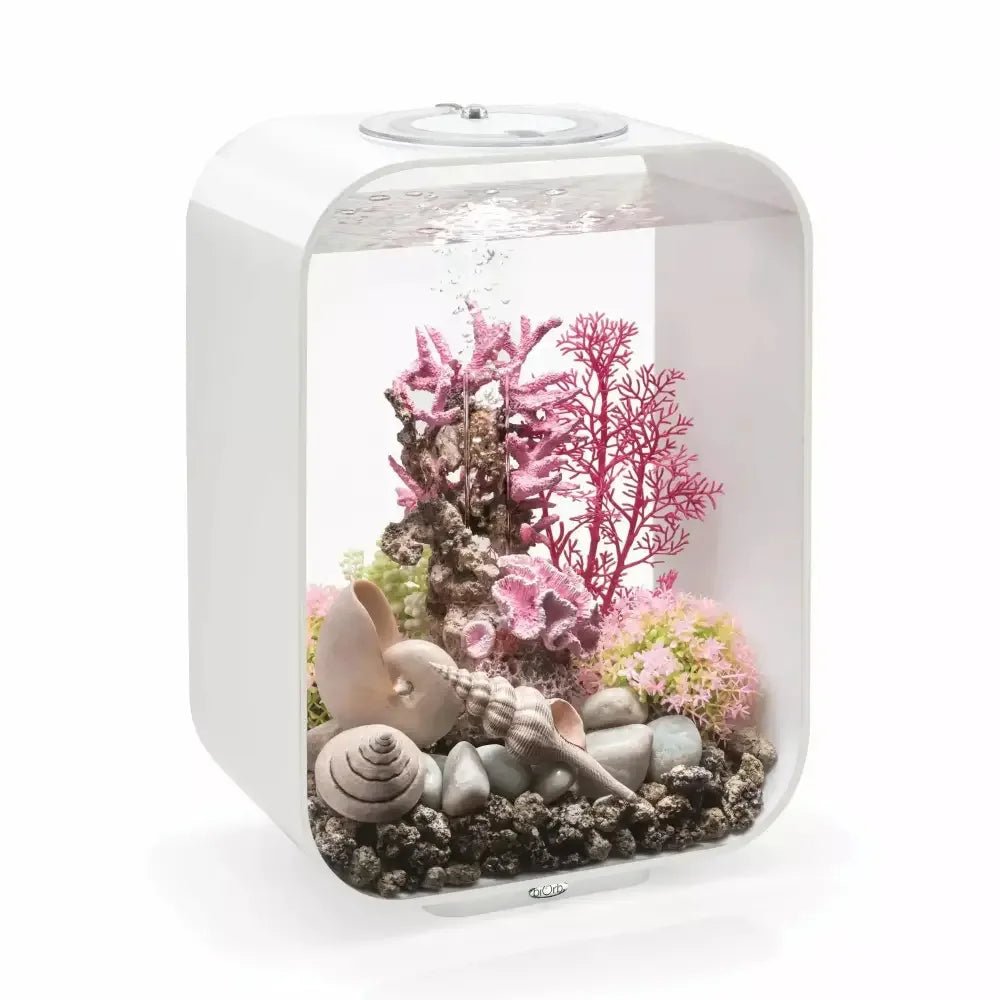 biOrb LIFE 15 Aquarium with MCR Light 4 gallon - Talis Us