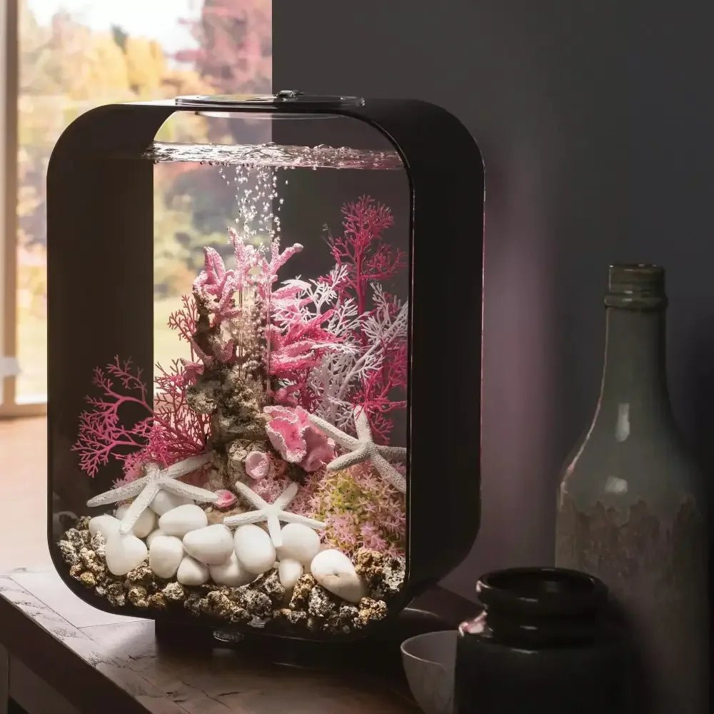 biOrb LIFE 15 Aquarium with MCR Light 4 gallon - Talis Us