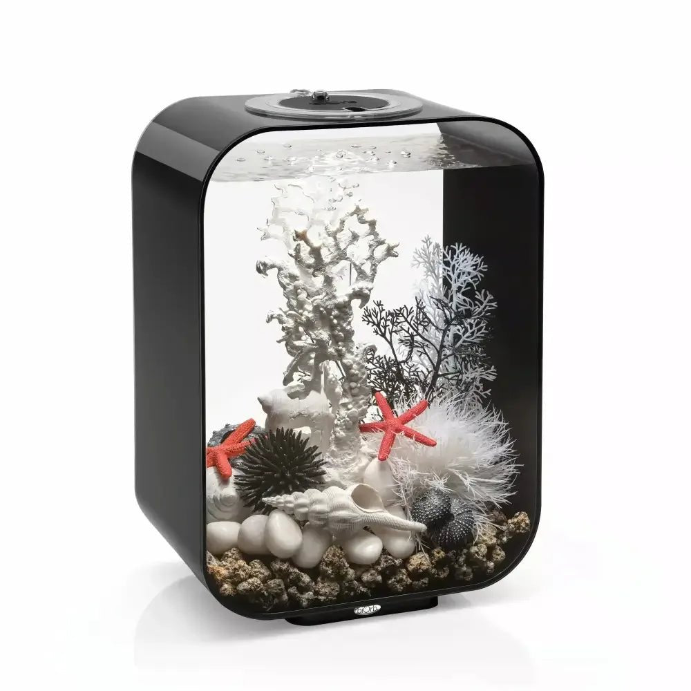 biOrb LIFE 15 Aquarium with MCR Light 4 gallon - Talis Us