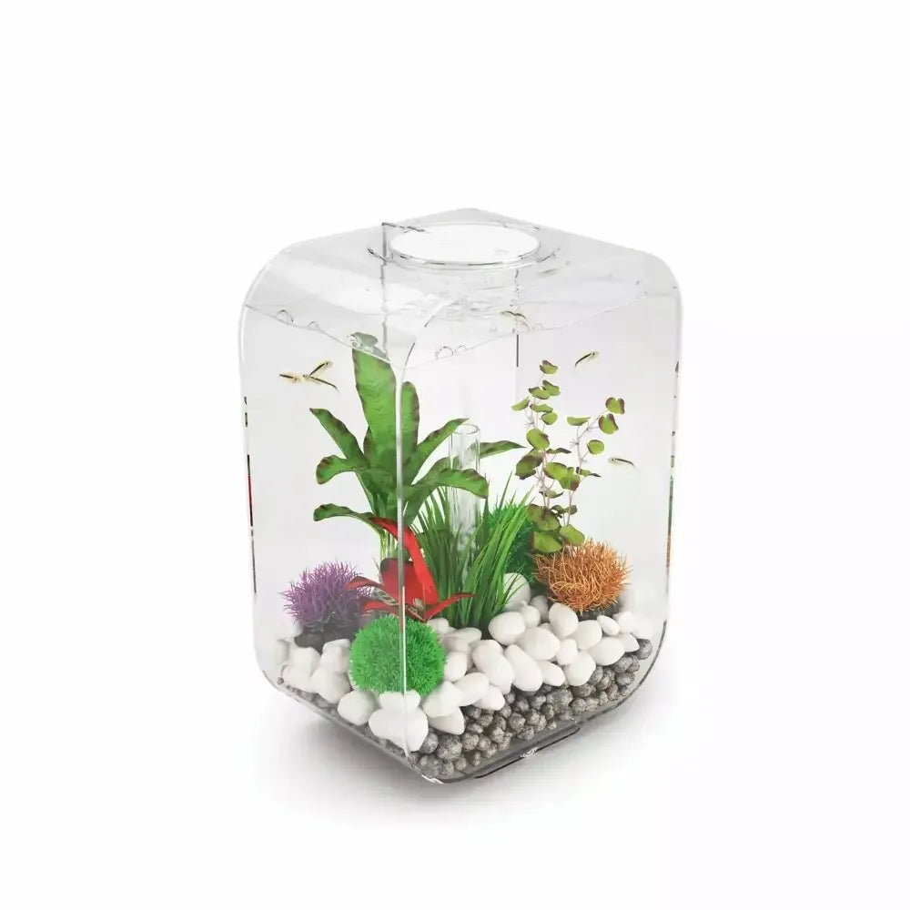 biOrb LIFE 15 Aquarium with Standard Light 4 gallon - Talis Us