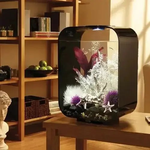biOrb LIFE 15 Aquarium with Standard Light 4 gallon - Talis Us