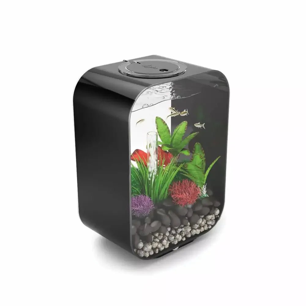 biOrb LIFE 15 Aquarium with Standard Light 4 gallon - Talis Us