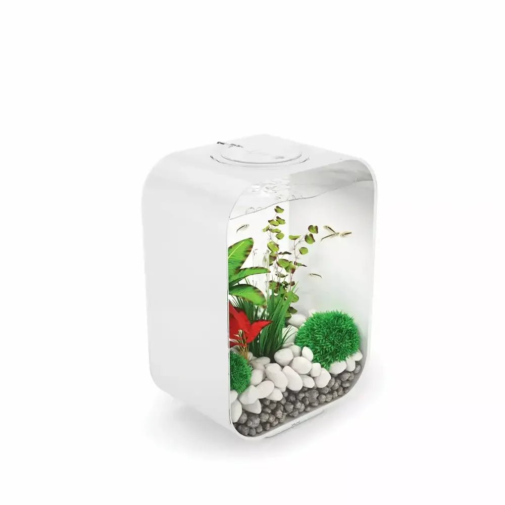 biOrb LIFE 15 Aquarium with Standard Light 4 gallon - Talis Us