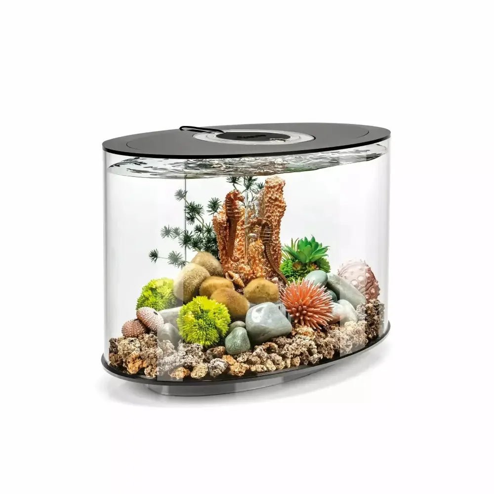 biOrb LOOP 15 Aquarium with MCR Light 4 gallon - Talis Us