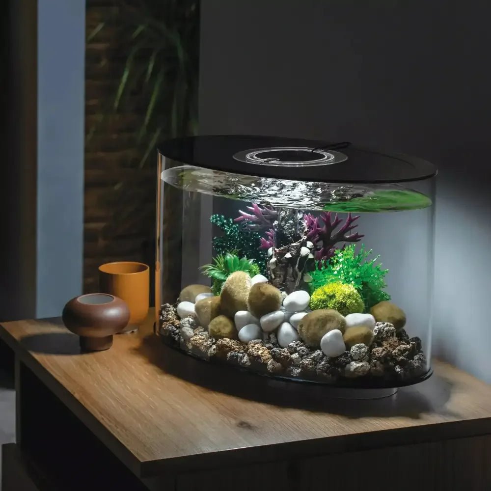 biOrb LOOP 15 Aquarium with MCR Light 4 gallon - Talis Us