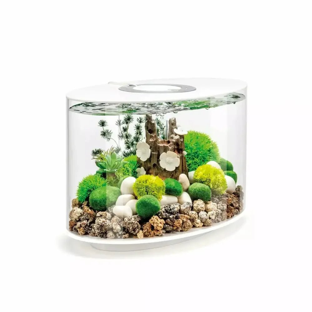 biOrb LOOP 15 Aquarium with Standard Light 4 gallon - Talis Us