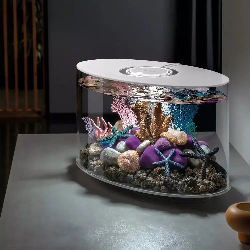 biOrb LOOP 15 Aquarium with Standard Light 4 gallon - Talis Us