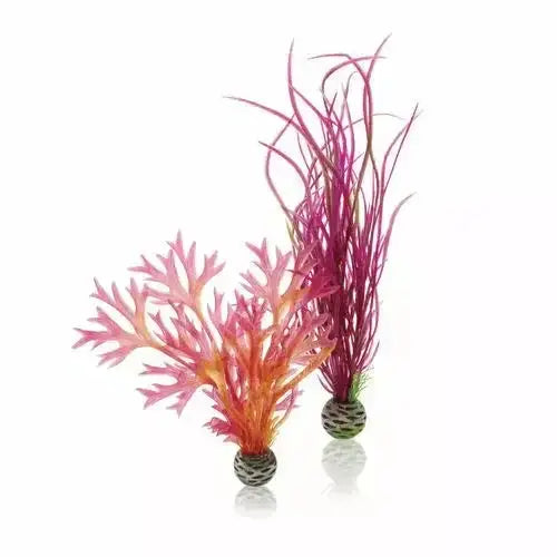BiOrb Plant Set Medium Aquarium Decor BiOrb