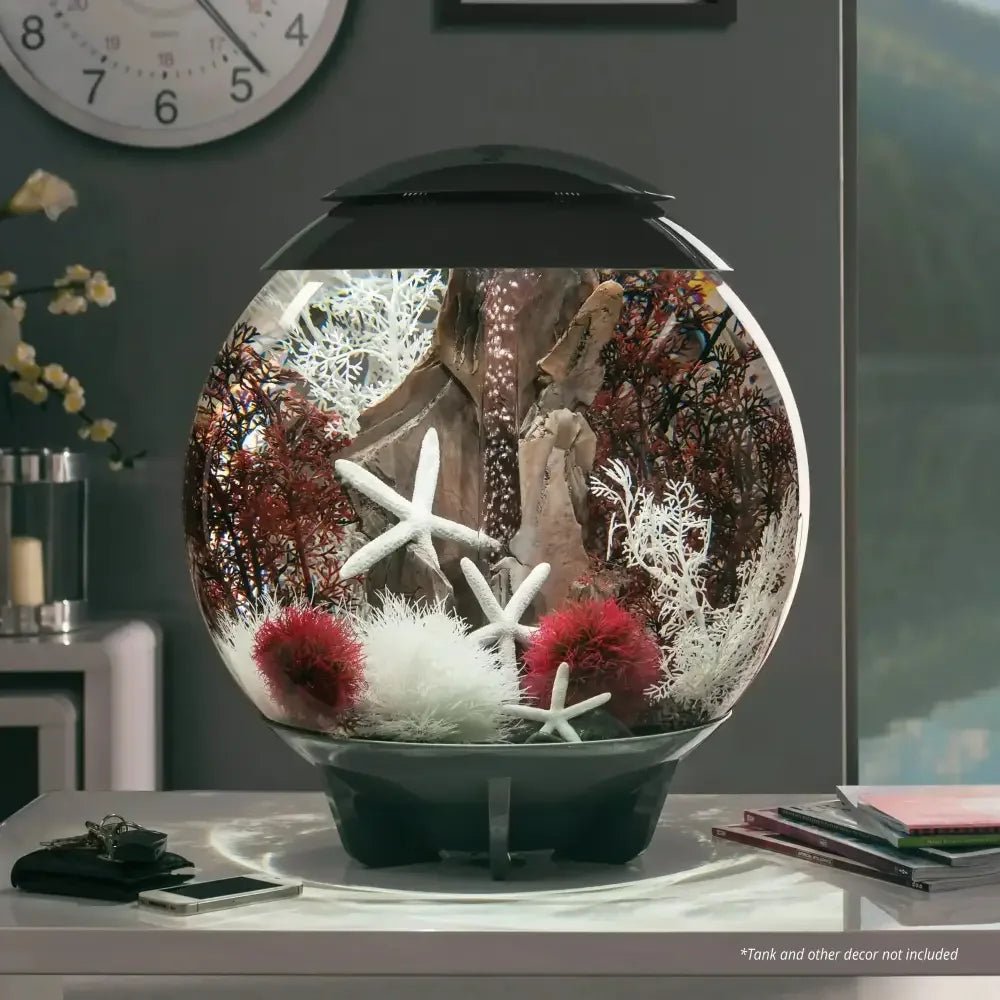 biOrb Sea Fan Aquarium Decor - Talis Us
