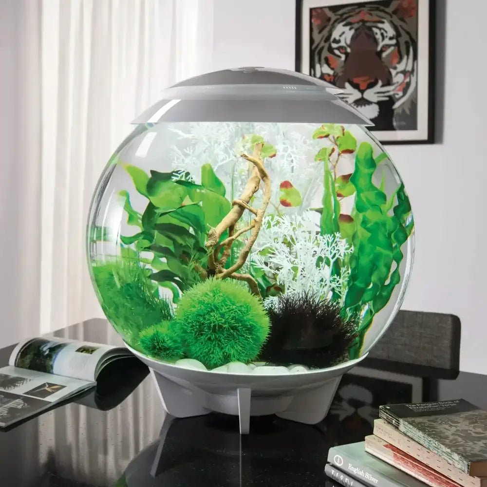 biOrb Sea Fan Aquarium Decor - Talis Us