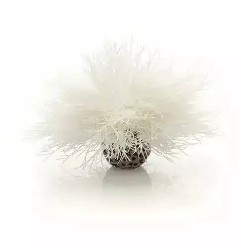 biOrb Sea Lily Aquarium Decir - Talis Us