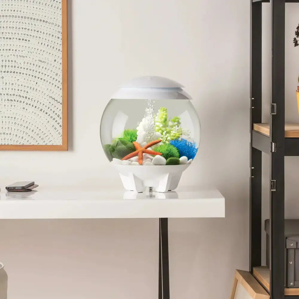 biOrb Sea Lily Aquarium Decir BiOrb
