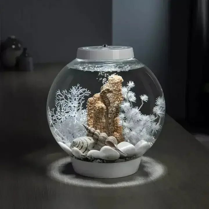 biOrb Seahorses on Coral Sculpture Aquarium Decor - Talis Us