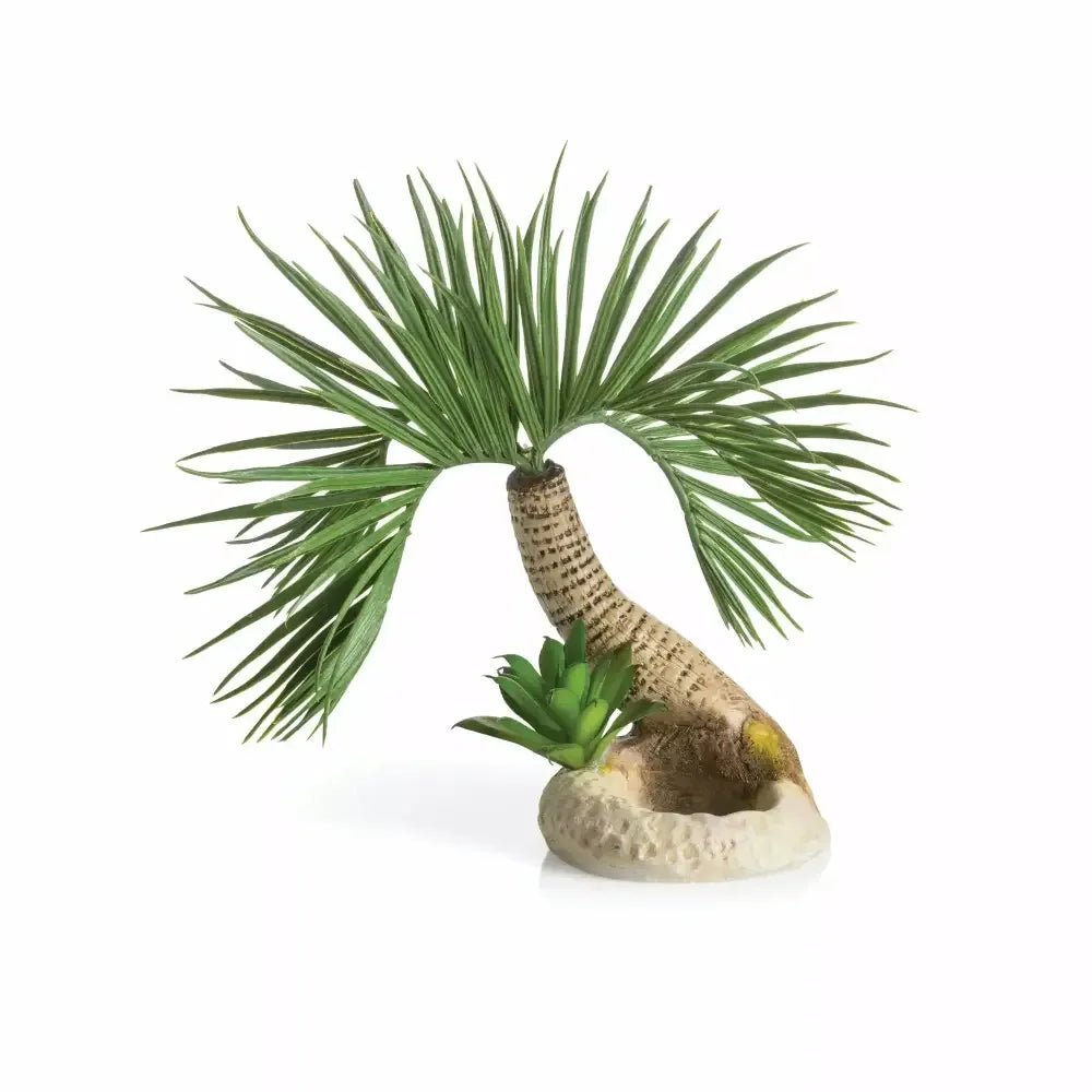 biOrb Seychelles Palm Tree Sculpture Aquarium Decor - Talis Us
