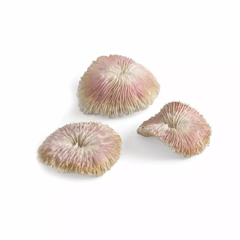 biOrb Seychelles Plate Coral Aquarium Decor Set of 3 - Talis Us