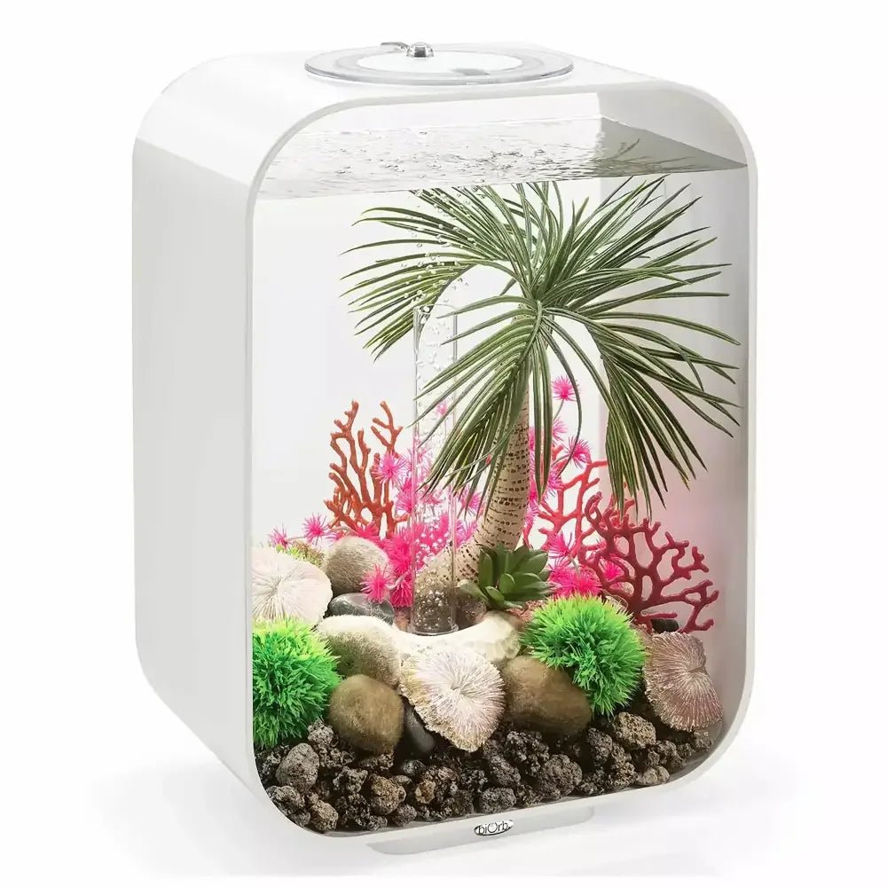 biOrb Seychelles Plate Coral Aquarium Decor Set of 3 - Talis Us