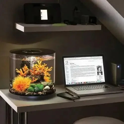 biOrb TUBE 15 Aquarium with Standard Light  4 gallon BiOrb CPD