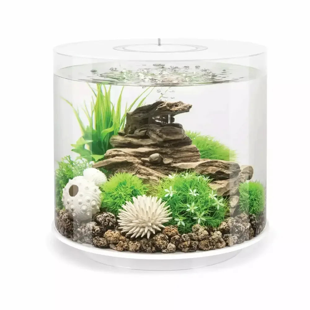 biOrb TUBE 15 Aquarium with Standard Light  4 gallon BiOrb CPD